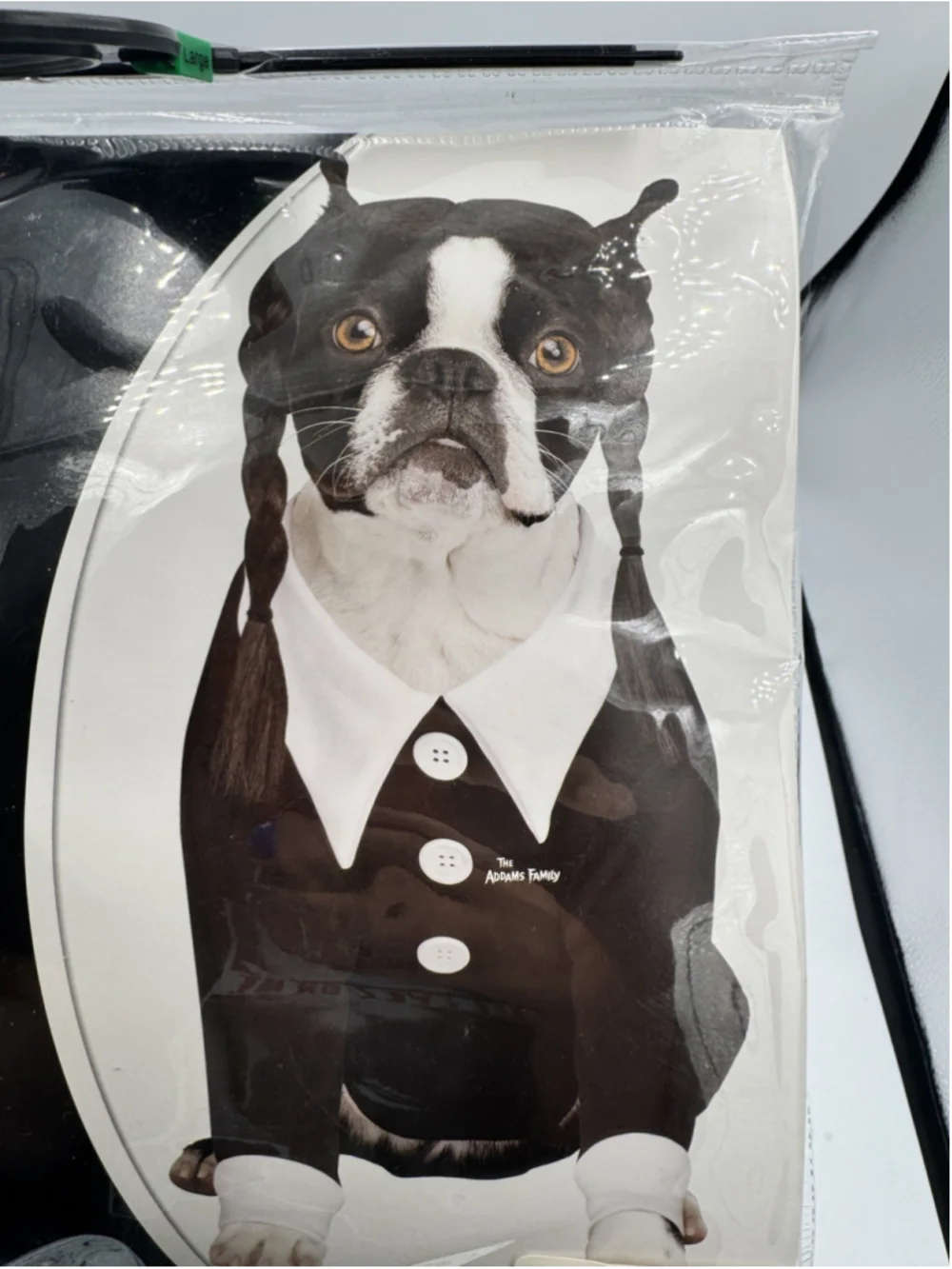 Spirit Halloween Pet Dog The Addams Family Wednesday costume Size Large 29-44lbs